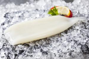 Squid Tubes (cleaned or uncleaned)